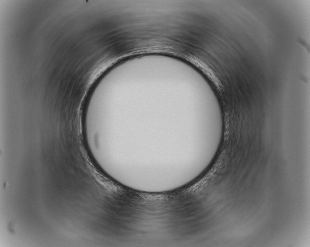 X0000096661031200803041156