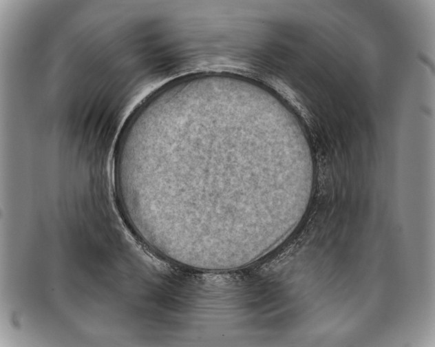 X0000096661032200803041156