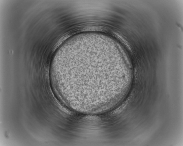 X0000096661033200803041156