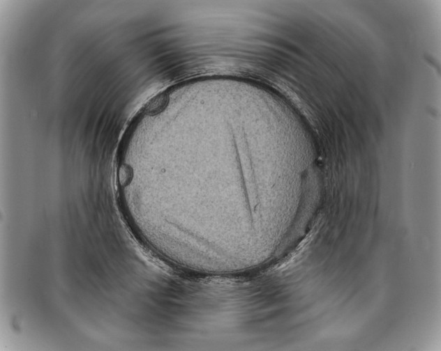 X0000096661034200803041156