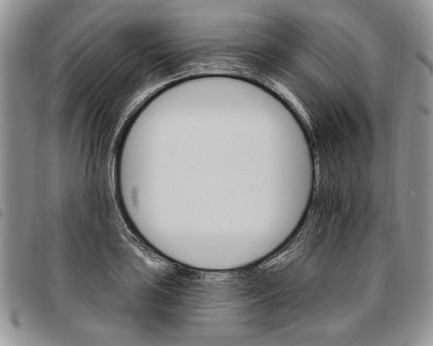 X0000096661035200803041156