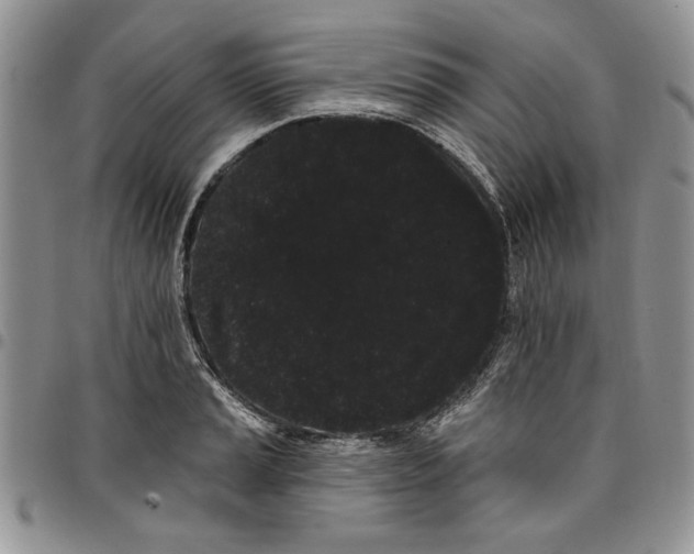 X0000096661037200803041156