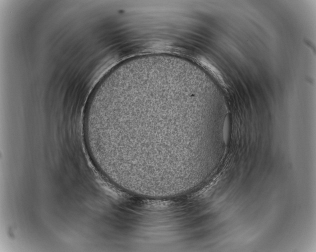 X0000096661039200803041156