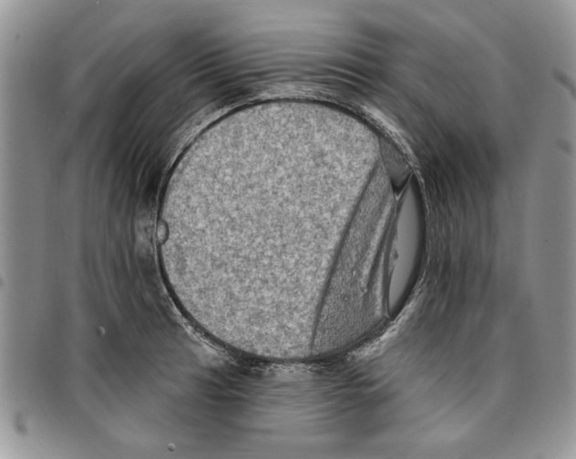 X0000096661041200803041156