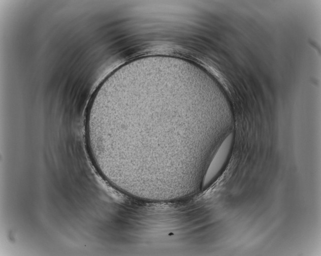 X0000096661042200803041156