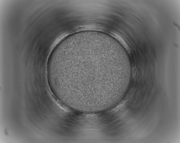 X0000096661043200803041156