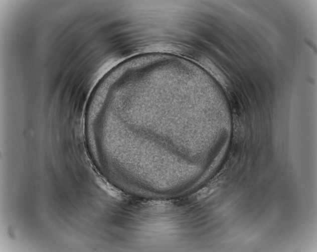 X0000096661044200803041156