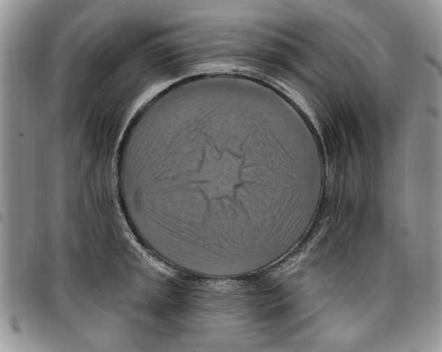 X0000096661045200803041156