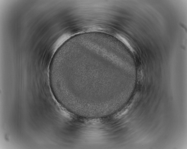 X0000096661047200803041156