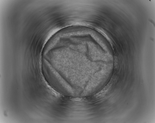 X0000096661048200803041156