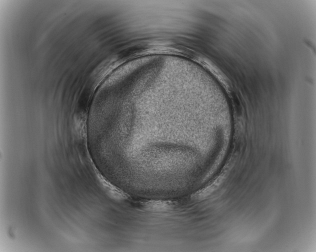 X0000096661049200803041156