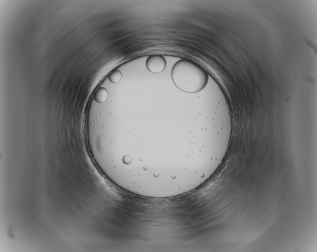 X0000096661050200803041156