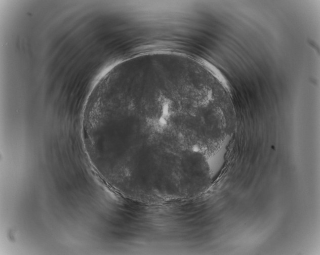 X0000096661051200803041157