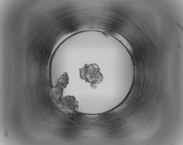 X0000096661052200803041157