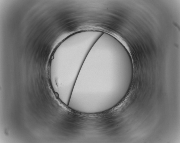 X0000096661053200803041157