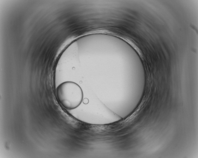 X0000096661054200803041157