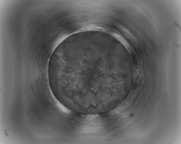 X0000096661055200803041157