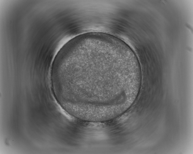 X0000096661056200803041157