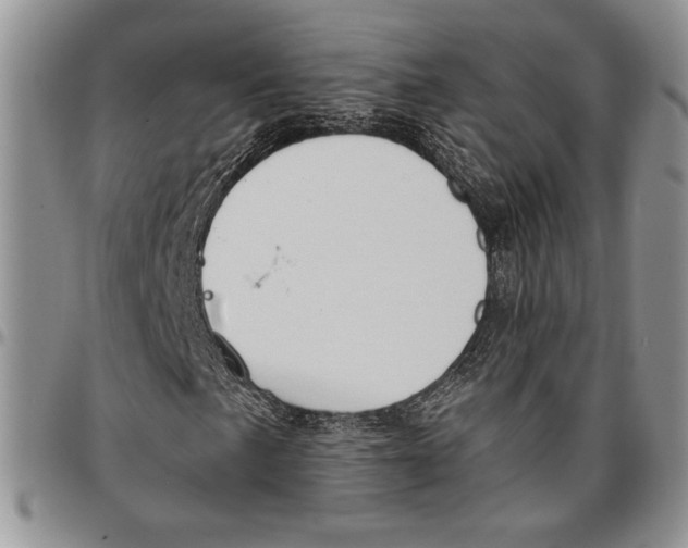 X0000096661057200803041156