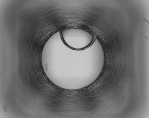 X0000096661060200803041156