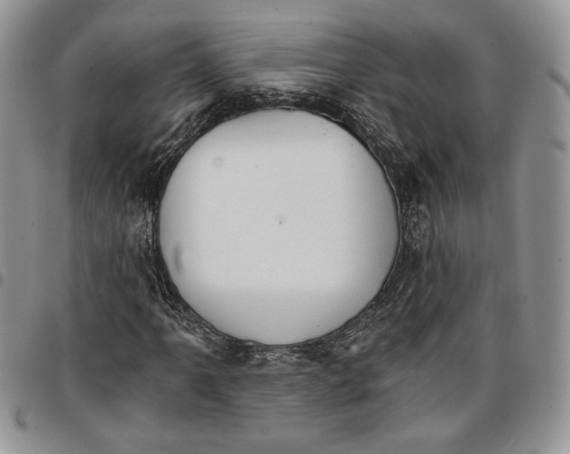 X0000096661061200803041156