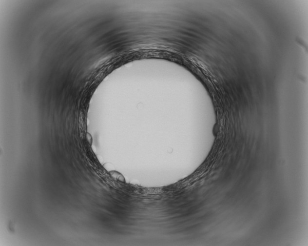 X0000096661062200803041156