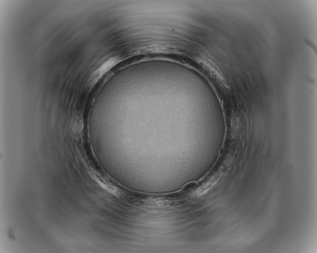 X0000096661065200803041156