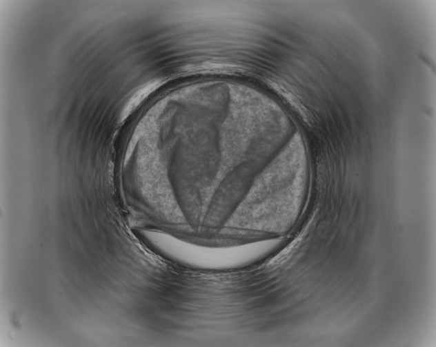 X0000096661066200803041156