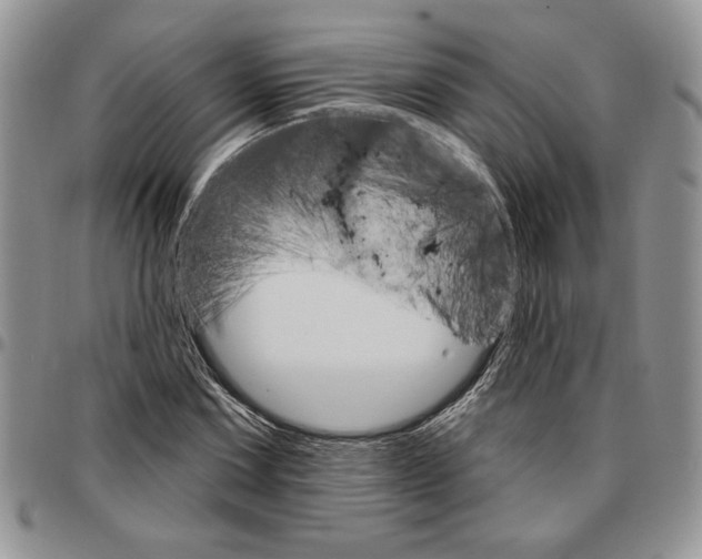 X0000096661067200803041156