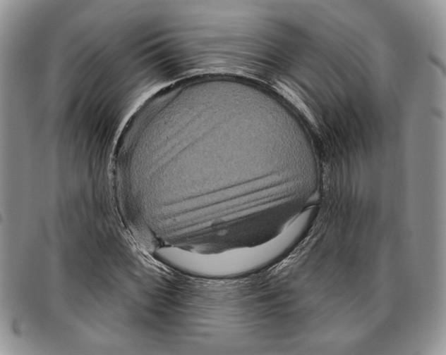 X0000096661068200803041156