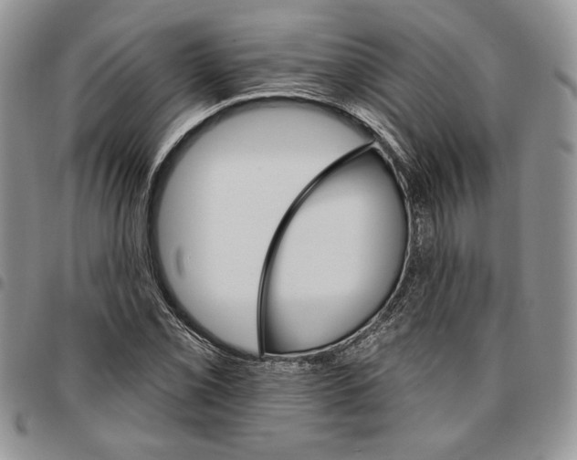 X0000096661069200803041156