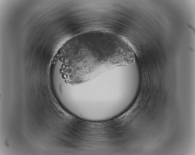 X0000096661071200803041156