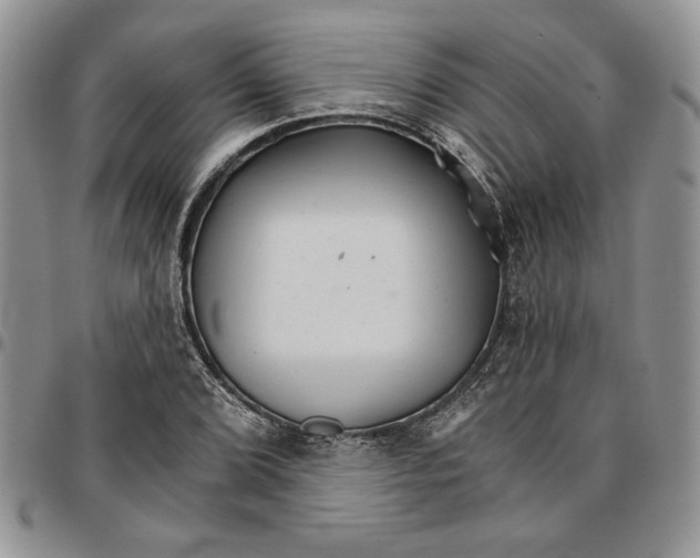 X0000096661072200803041156