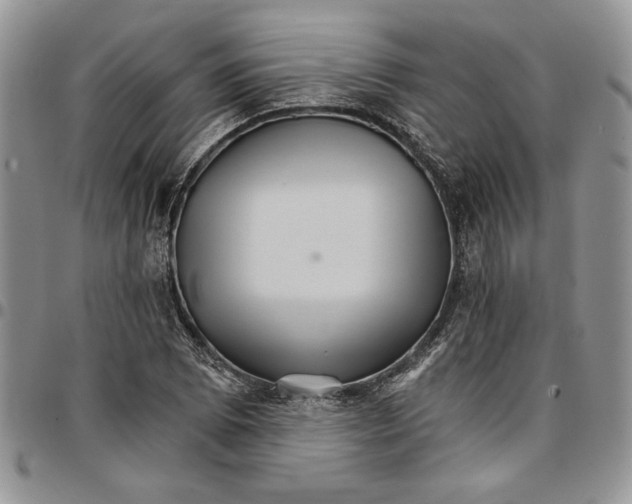 X0000096661073200803041156