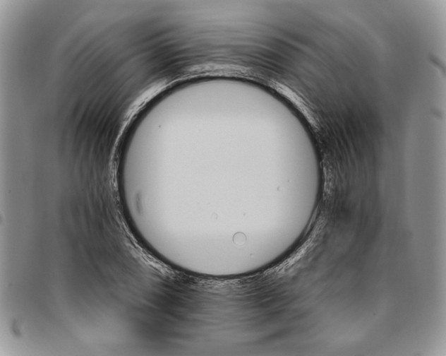 X0000096661074200803041156