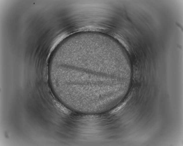 X0000096661075200803041156