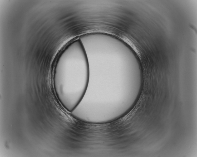 X0000096661076200803041156