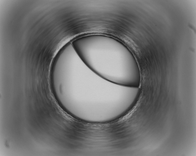 X0000096661077200803041156