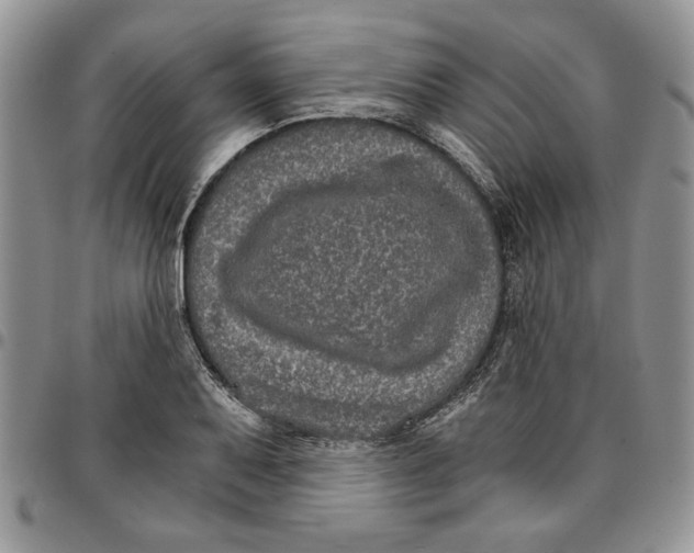 X0000096661079200803041156