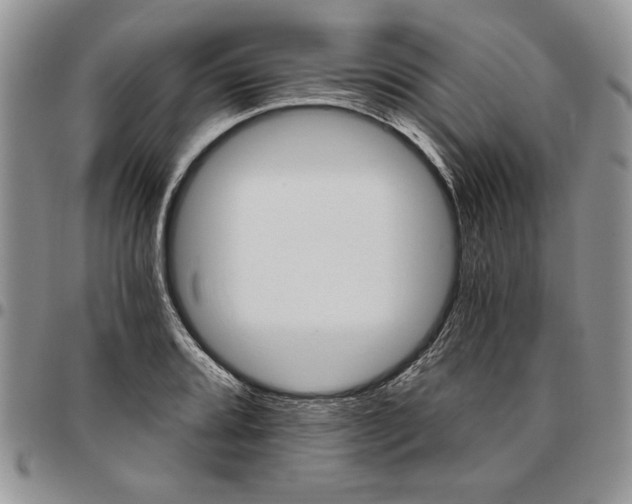 X0000096661080200803041156