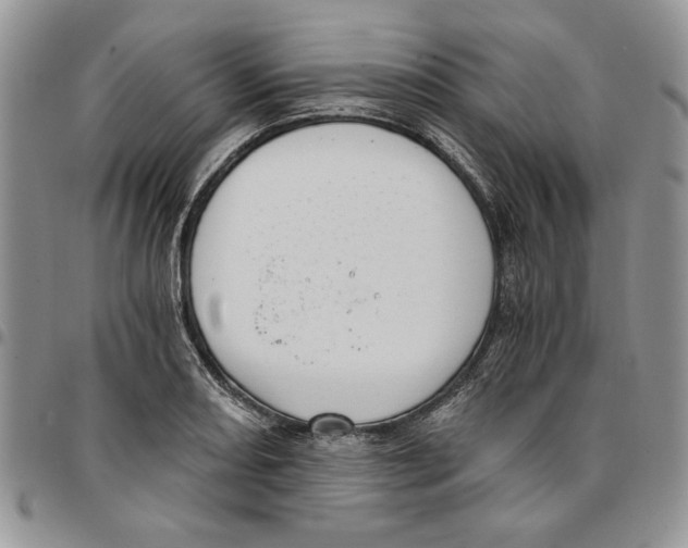 X0000096661082200803041156