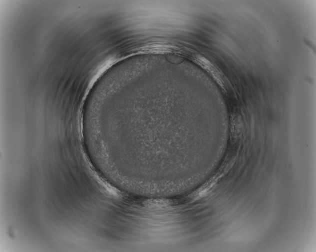 X0000096661083200803041156