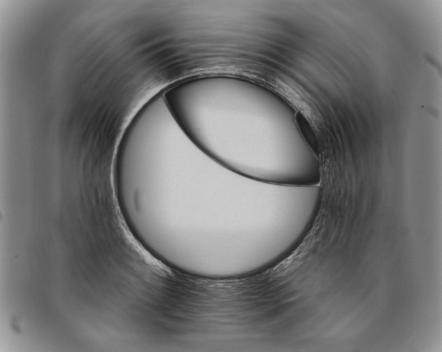 X0000096661084200803041156