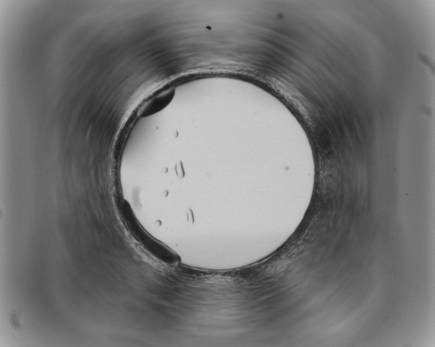 X0000096661085200803041156