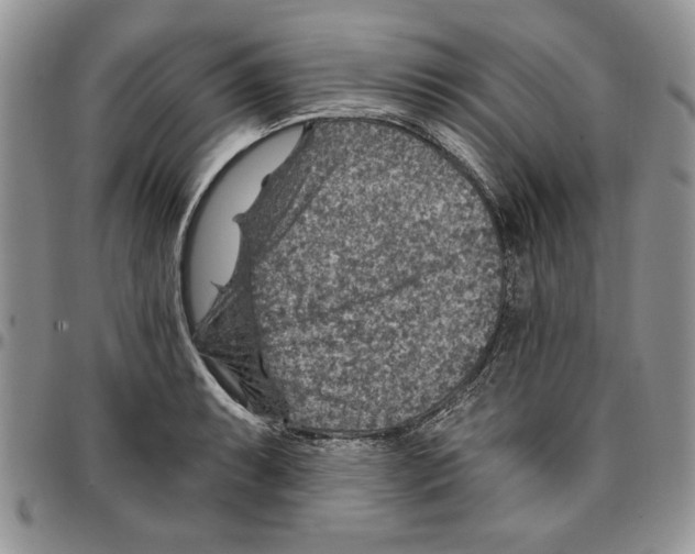 X0000096661087200803041156