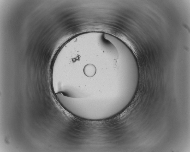 X0000096661088200803041156