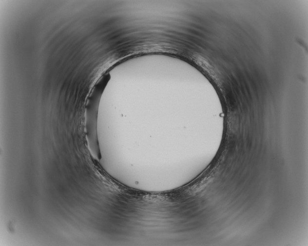 X0000096661089200803041156