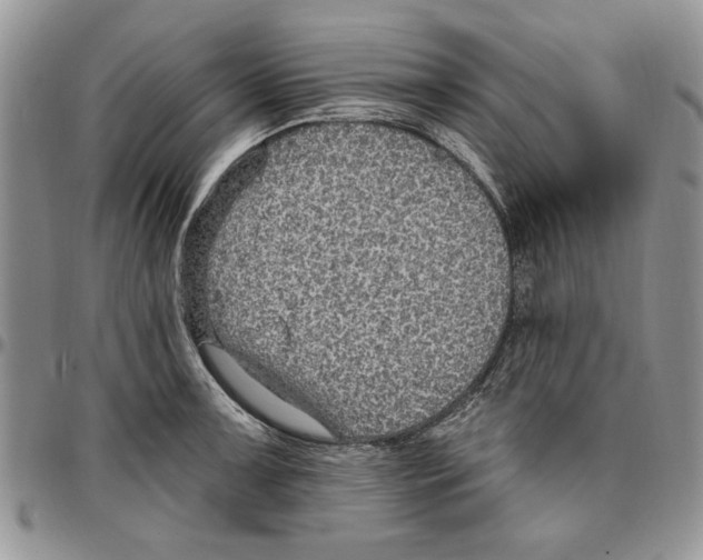 X0000096661091200803041156