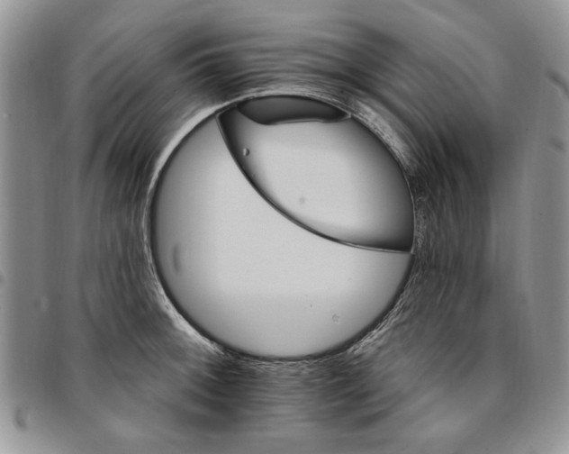 X0000096661092200803041156