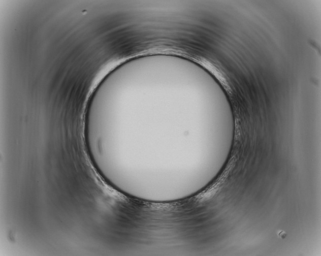 X0000096661094200803041156